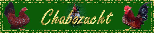 Chabo Club d'Allemagne