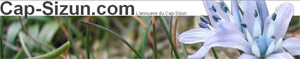 Annuaire du Cap Sizun
