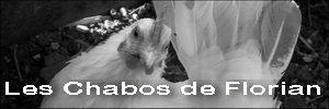 Les Chabos de Florian 38
