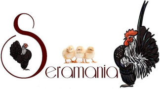 Seramania, le Forum