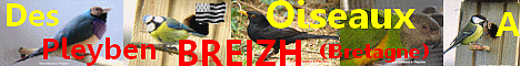 Annuaire oiseaux