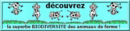 Association Ferme.org