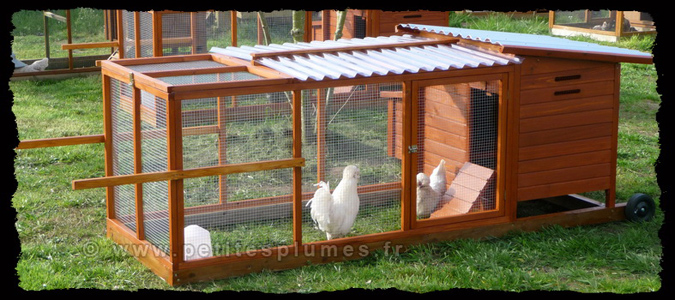 poulailler mobile 4 poules